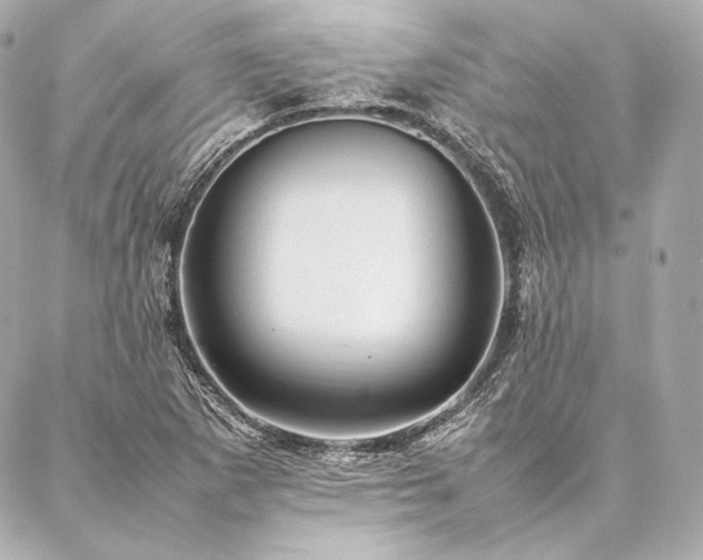 X0000086971265200704231506