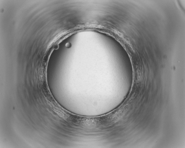 X0000086971266200704231506