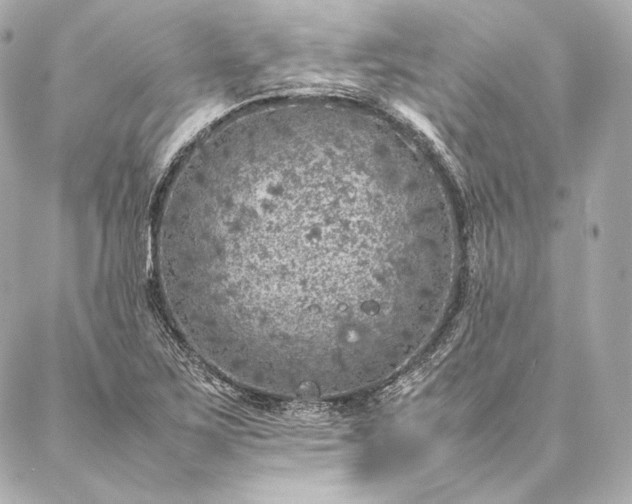 X0000086971267200704231506