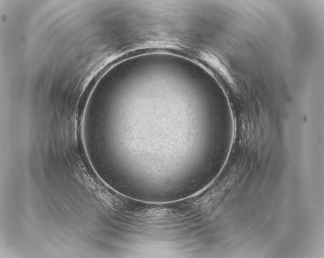 X0000086971268200704231506