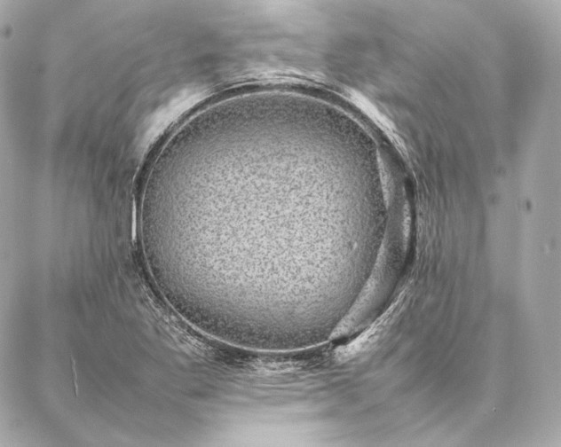 X0000086971269200704231506