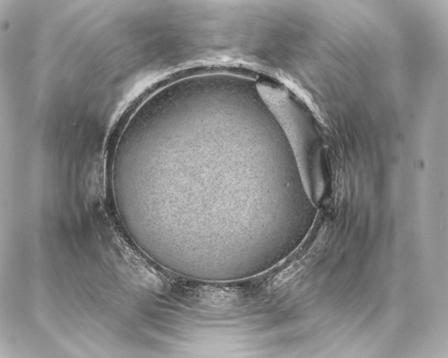 X0000086971270200704231506