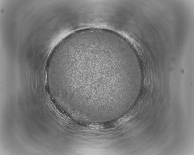 X0000086971271200704231506