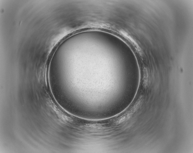 X0000086971272200704231506