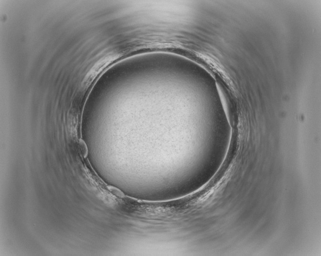 X0000086971273200704231506