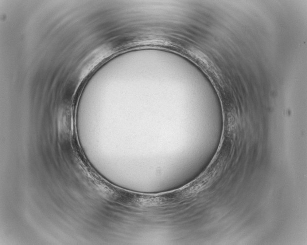 X0000086971274200704231506