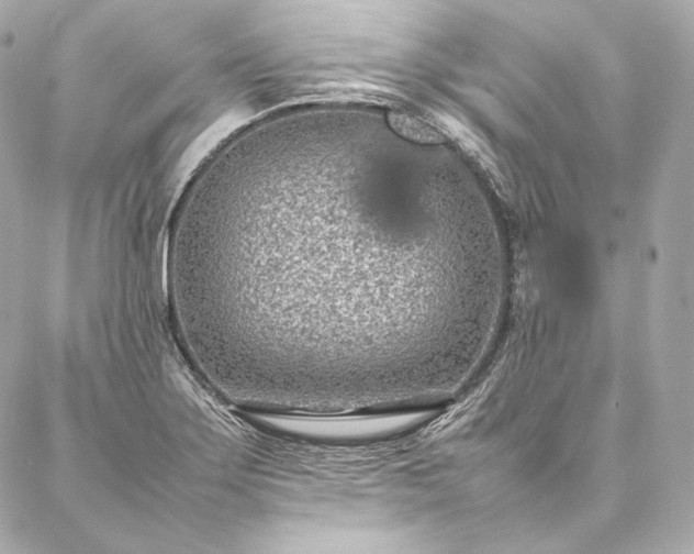 X0000086971275200704231506