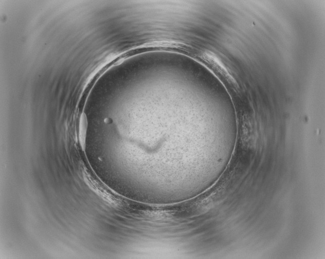 X0000086971276200704231506