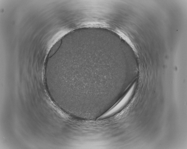 X0000086971277200704231506