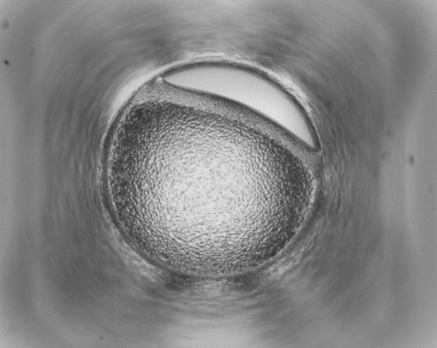 X0000086971279200704231506