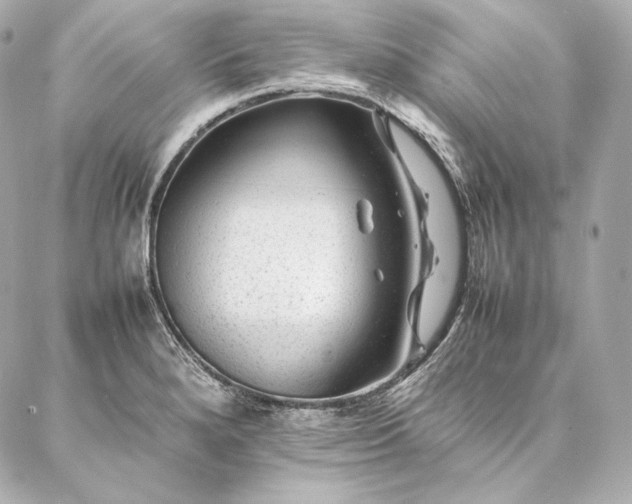 X0000086971280200704231506