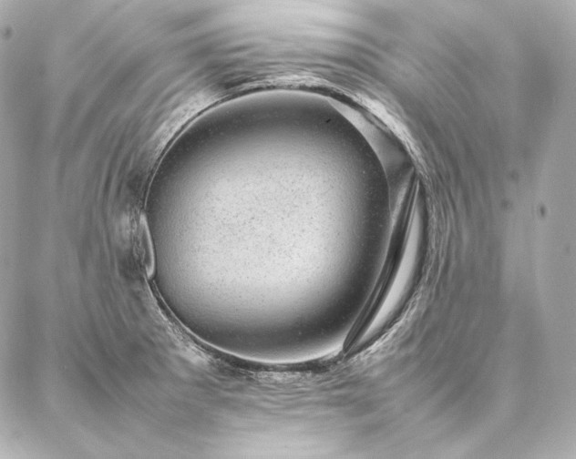 X0000086971281200704231506