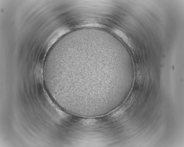 X0000086971282200704231506