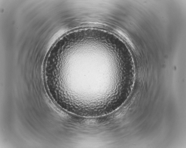 X0000086971283200704231506