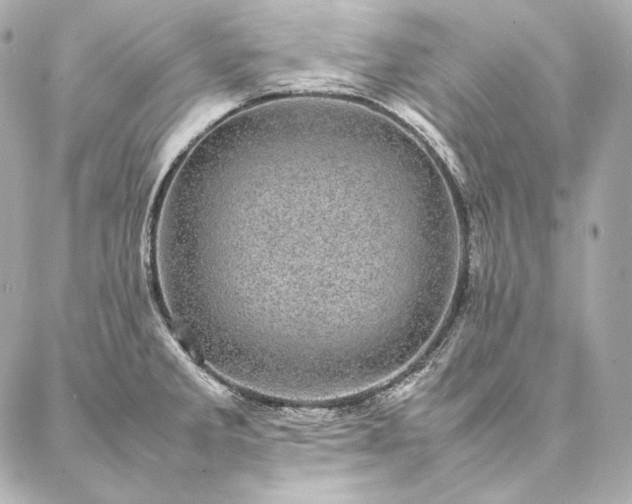 X0000086971285200704231506