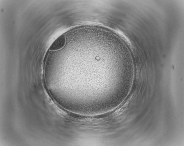 X0000086971287200704231506