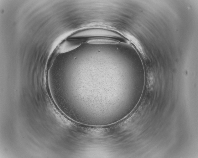 X0000086971288200704231506