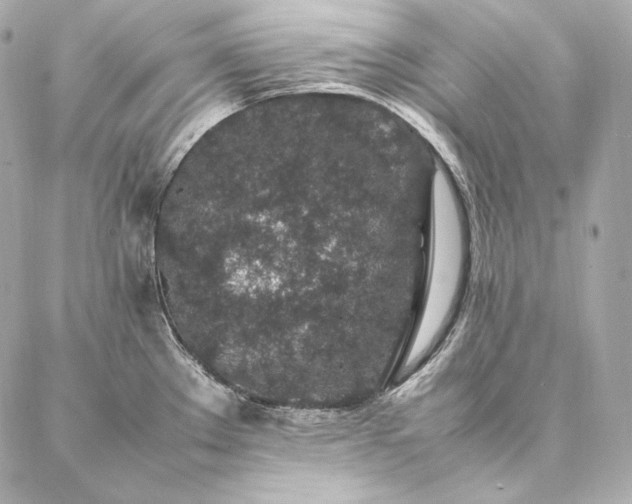 X0000086971289200704231506