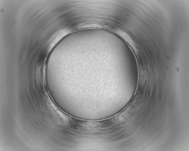 X0000086971290200704231506