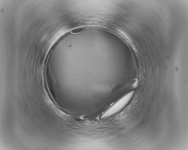 X0000086971291200704231506