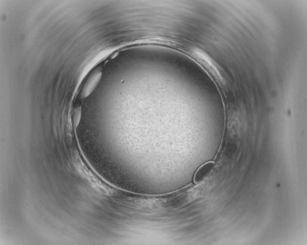 X0000086971292200704231506