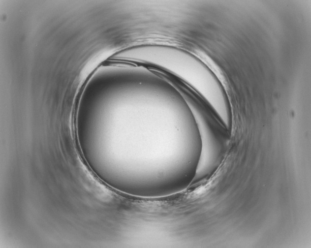 X0000086971293200704231506