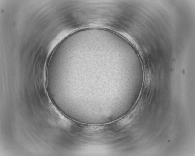 X0000086971294200704231506