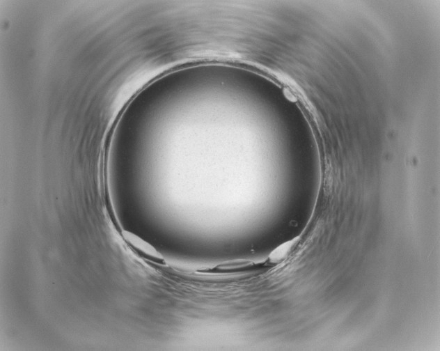 X0000086971295200704231506