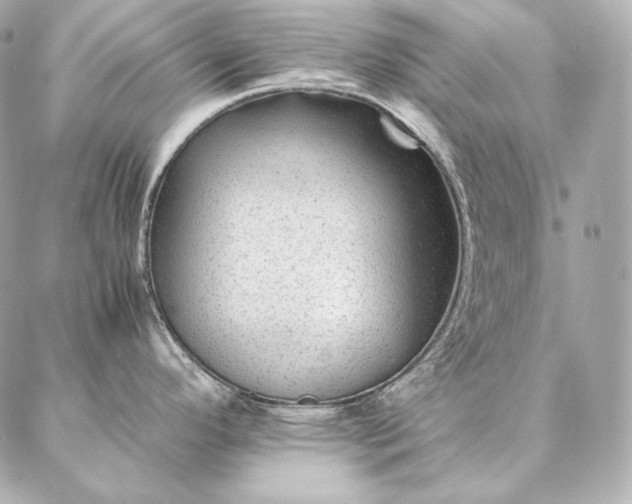 X0000086971296200704231506