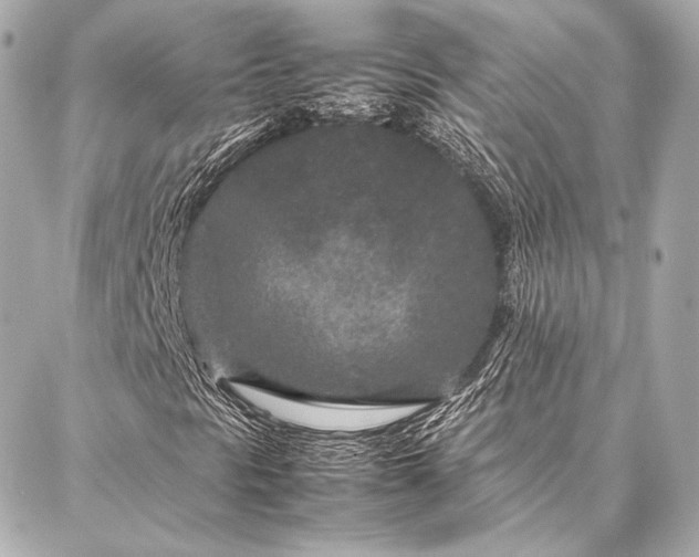 X0000086971297200704231505