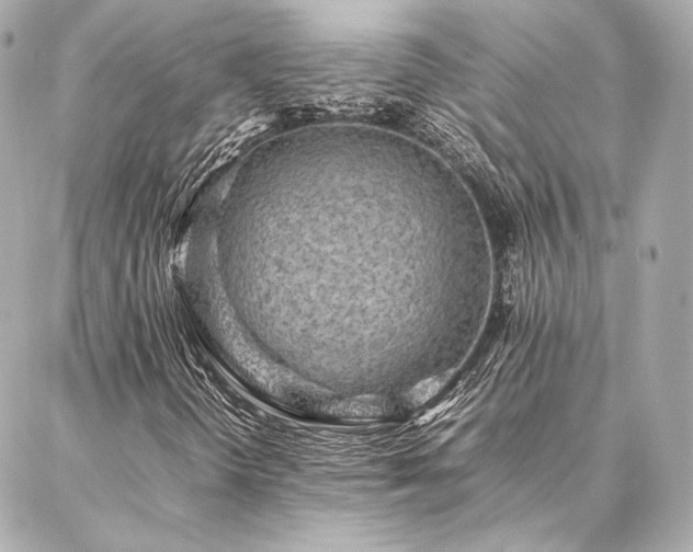 X0000086971298200704231505