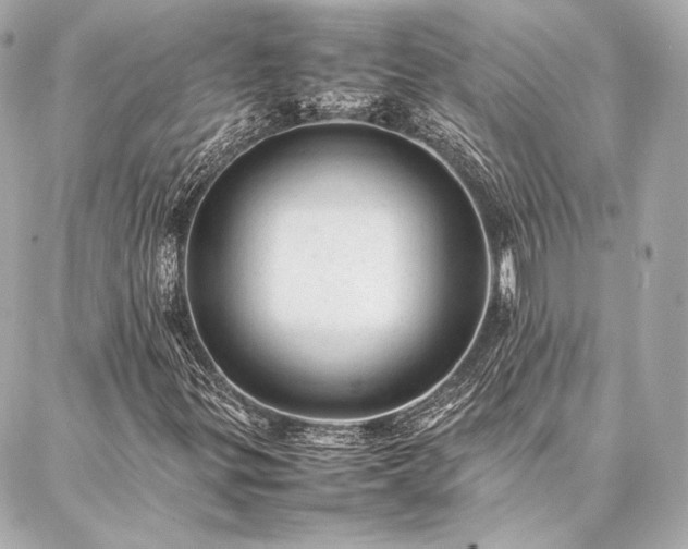 X0000086971299200704231505