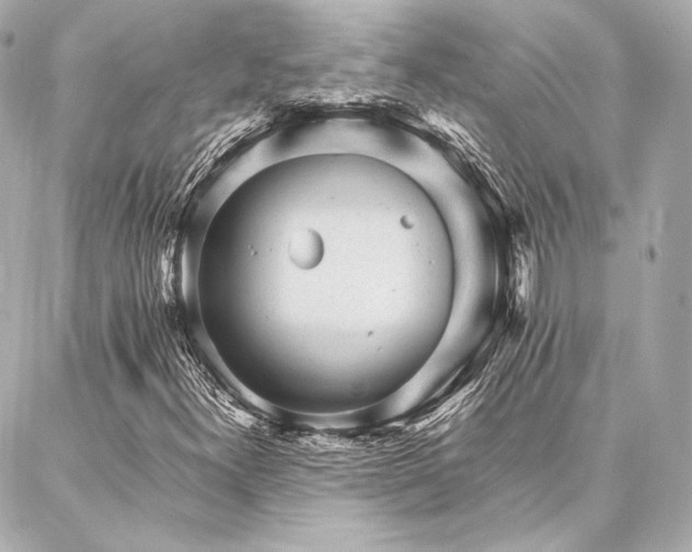 X0000086971300200704231505