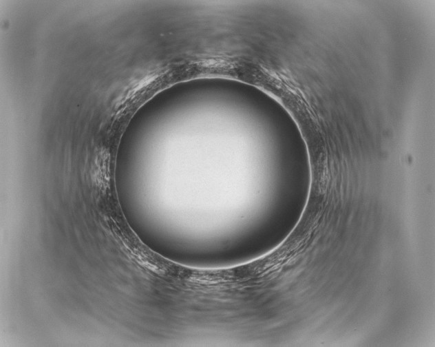 X0000086971301200704231505