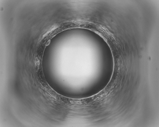 X0000086971302200704231505