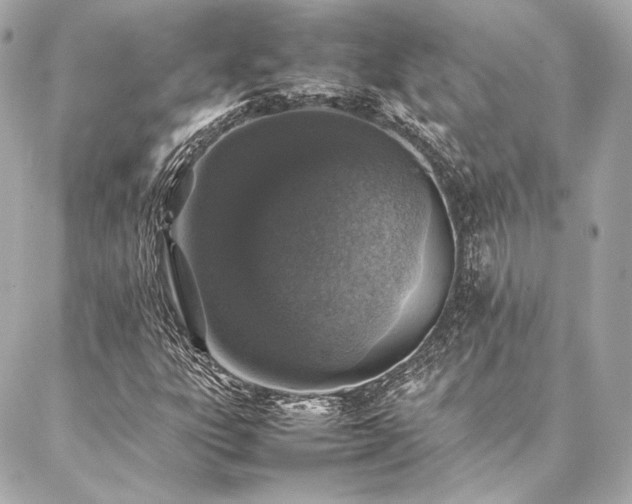 X0000086971303200704231505