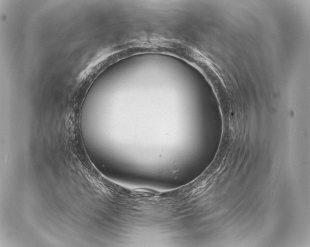 X0000086971304200704231505