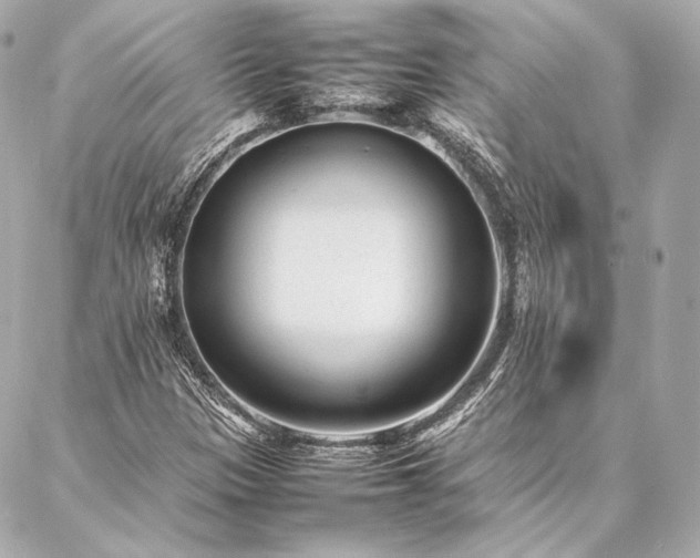 X0000086971305200704231505