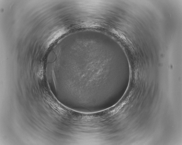 X0000086971306200704231505