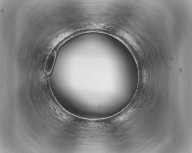 X0000086971308200704231505