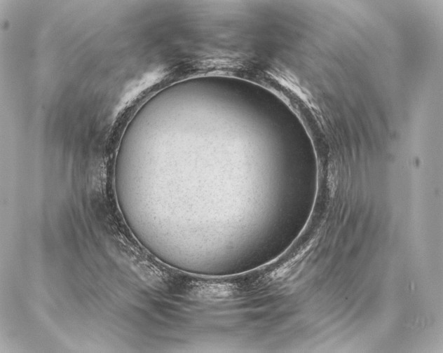 X0000086971309200704231505