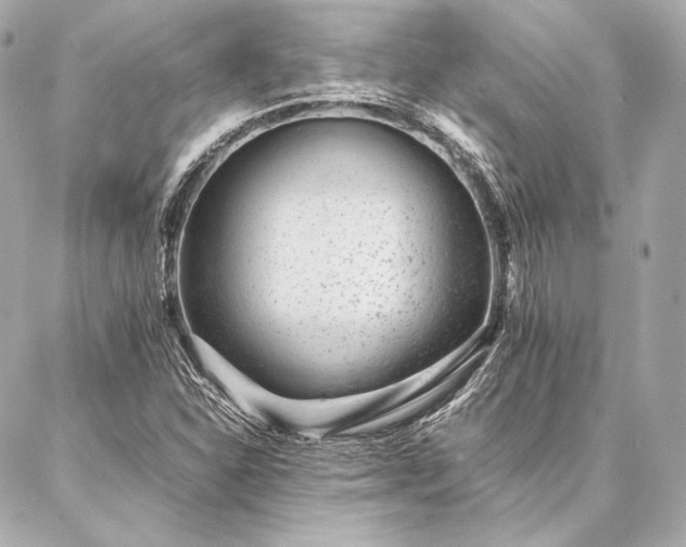 X0000086971310200704231505