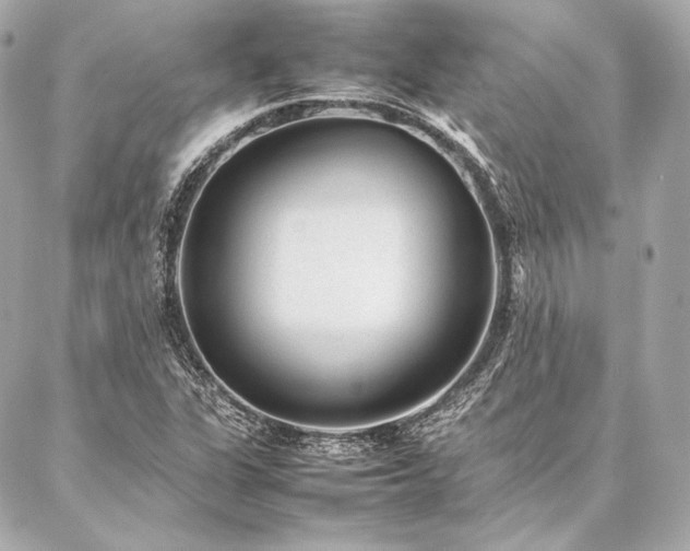 X0000086971311200704231505