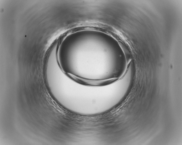 X0000086971312200704231505