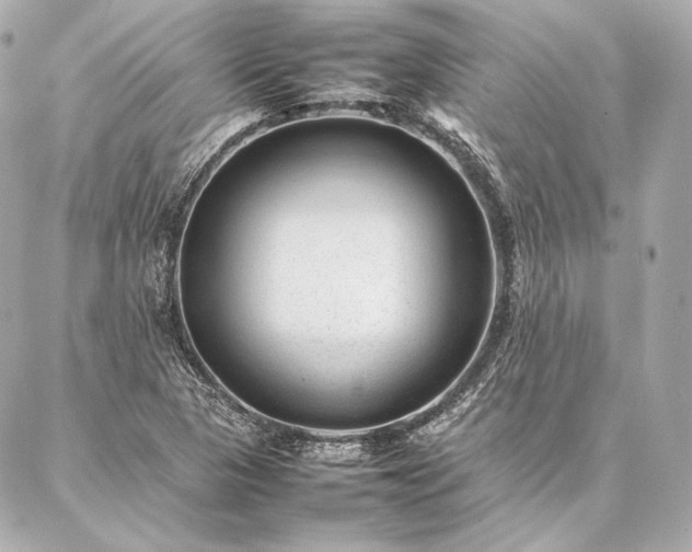 X0000086971313200704231505