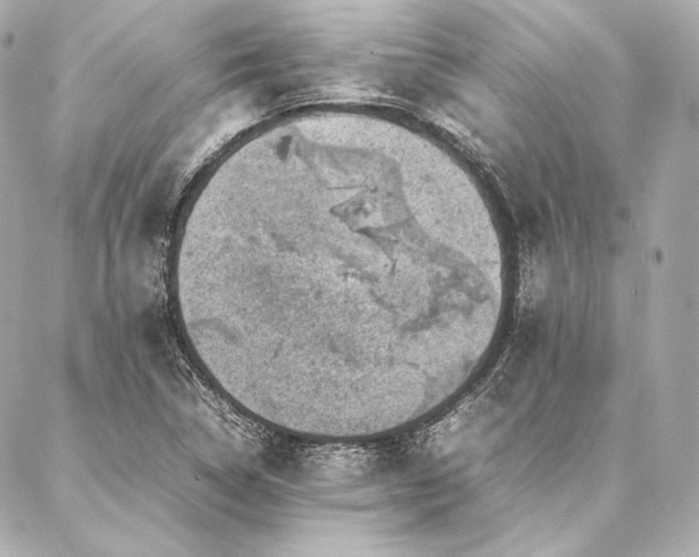 X0000086971314200704231505