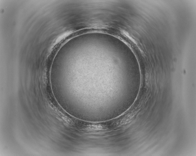 X0000086971315200704231505