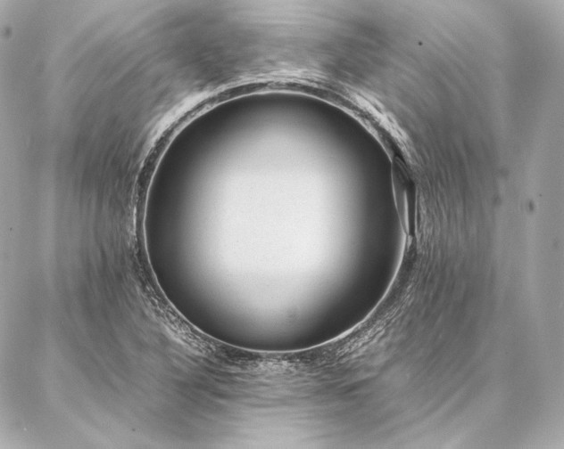 X0000086971316200704231505