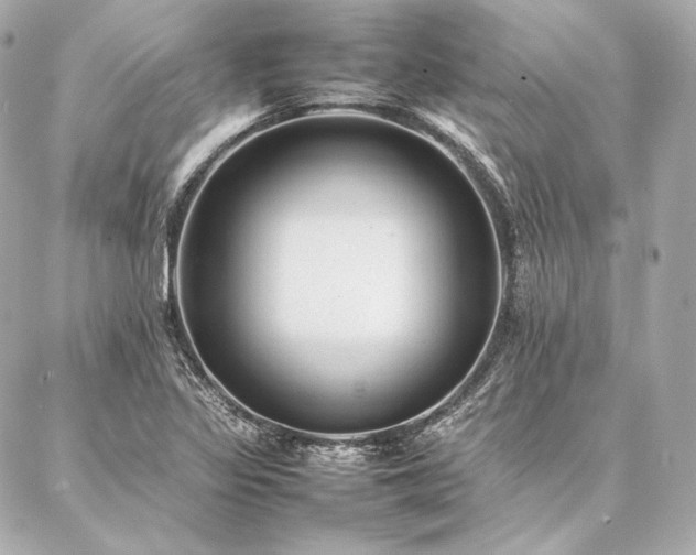 X0000086971317200704231505