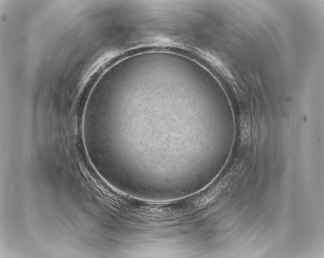 X0000086971318200704231506